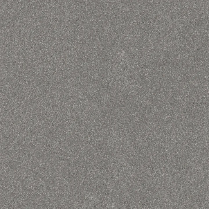 Shaw Floors Hard At Play I 15' — Vintage · 5E580-00509 — flooring selection with LeviArs Design & Remodeling