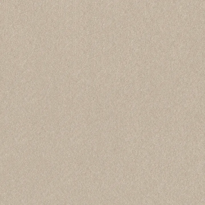 Shaw Floors Hard At Play I 15' — Warm Light · 5E580-00116 — flooring selection with LeviArs Design & Remodeling