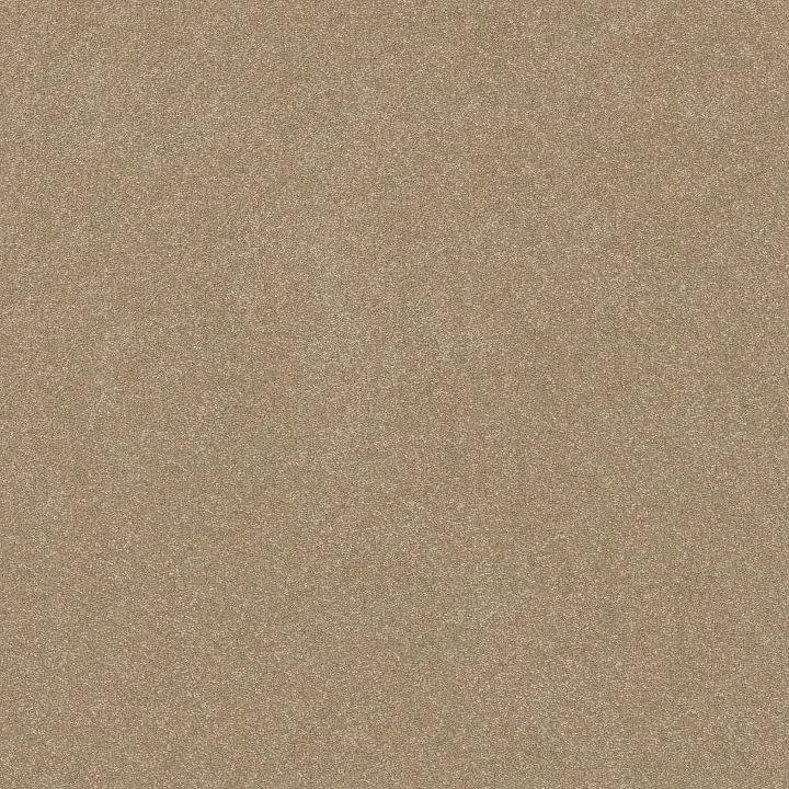 Shaw Floors Hard At Play I 15' — Worn Path · 5E580-00700 — flooring selection with LeviArs Design & Remodeling