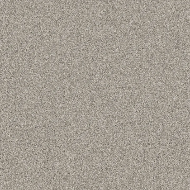Shaw Floors Harmonious I — Baltic Stone · 5E438-00128 — flooring selection with LeviArs Design & Remodeling