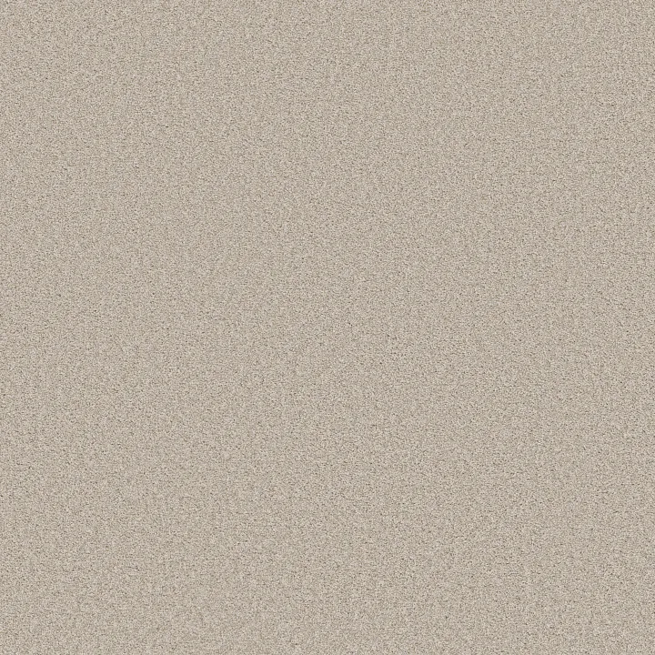 Shaw Floors Harmonious I — Champagne Toast · 5E438-00153 — flooring selection with LeviArs Design & Remodeling