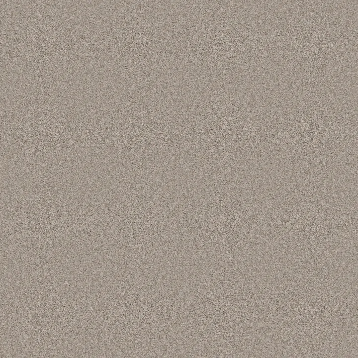 Shaw Floors Harmonious I — Fossil Path · 5E438-00108 — flooring selection with LeviArs Design & Remodeling