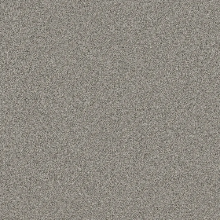 Shaw Floors Harmonious I — Grey Fox · 5E438-00504 — flooring selection with LeviArs Design & Remodeling