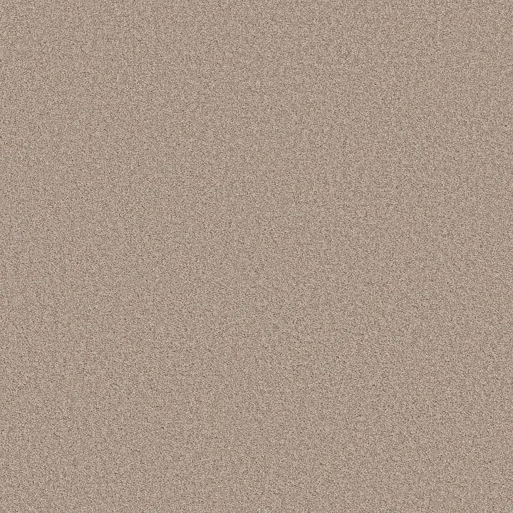Shaw Floors Harmonious I — Heirloom · 5E438-00803 — flooring selection with LeviArs Design & Remodeling