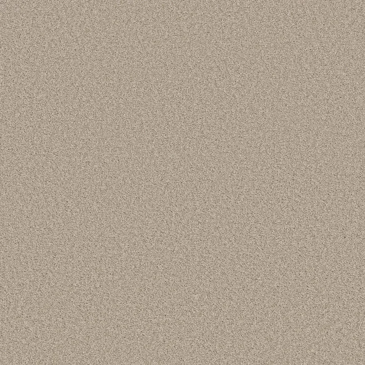 Shaw Floors Harmonious I — Sandstone · 5E438-00743 — flooring selection with LeviArs Design & Remodeling