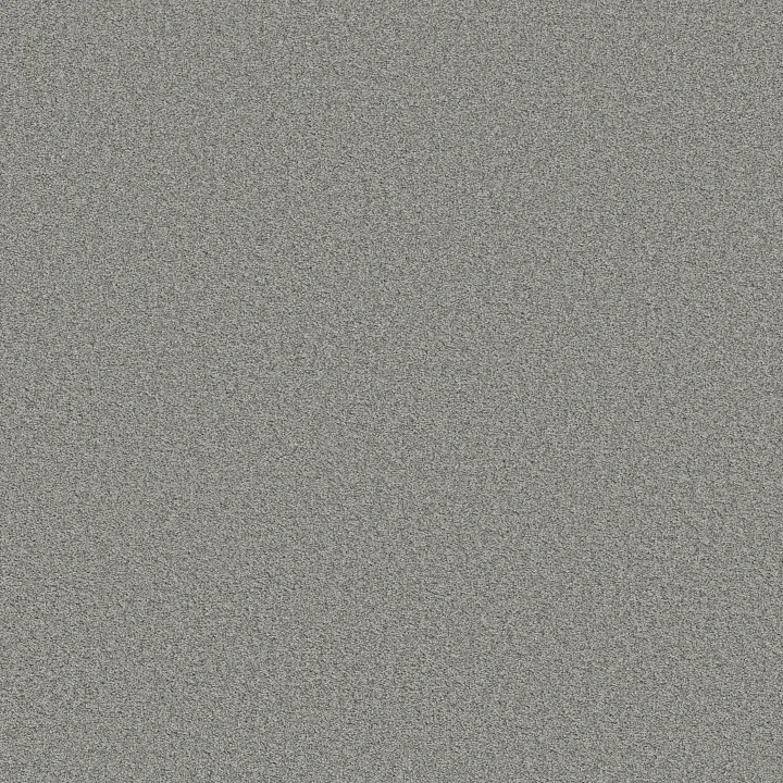 Shaw Floors Harmonious I — Sentimental · 5E438-00538 — flooring selection with LeviArs Design & Remodeling