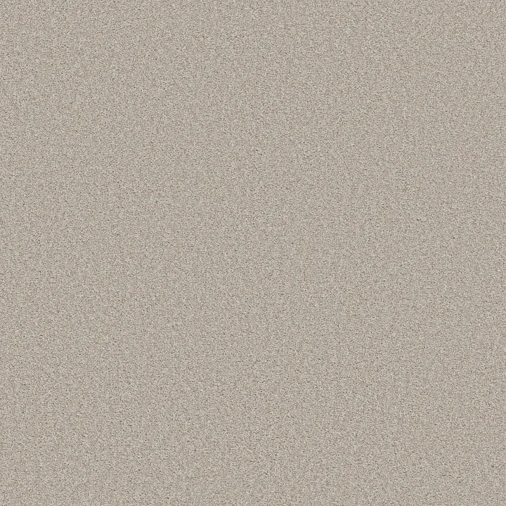 Shaw Floors Harmonious I — Split Sediment · 5E438-00104 — flooring selection with LeviArs Design & Remodeling