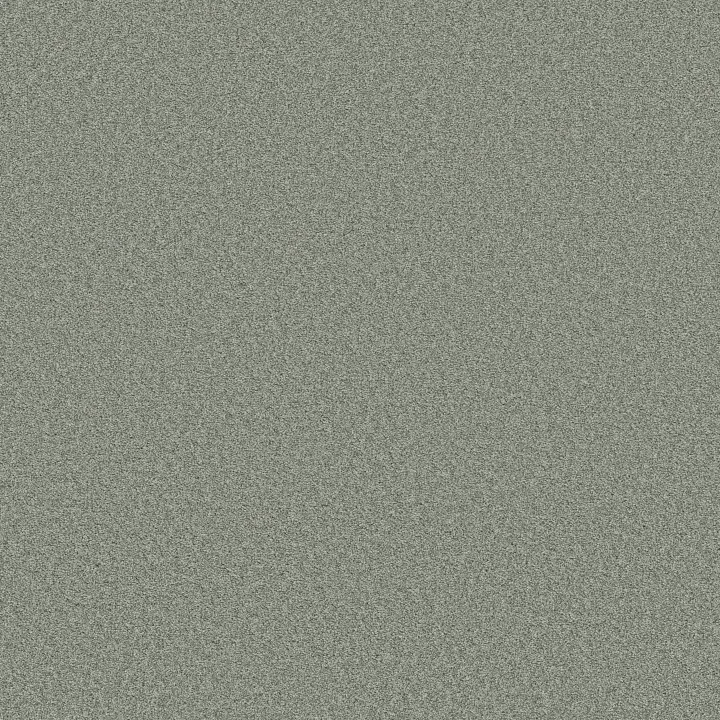 Shaw Floors Harmonious I — Water'S Edge · 5E438-00307 — flooring selection with LeviArs Design & Remodeling
