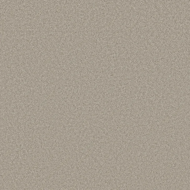 Shaw Floors Del Rio I — Baltic Stone · 5E825-00128 — flooring selection with LeviArs Design & Remodeling