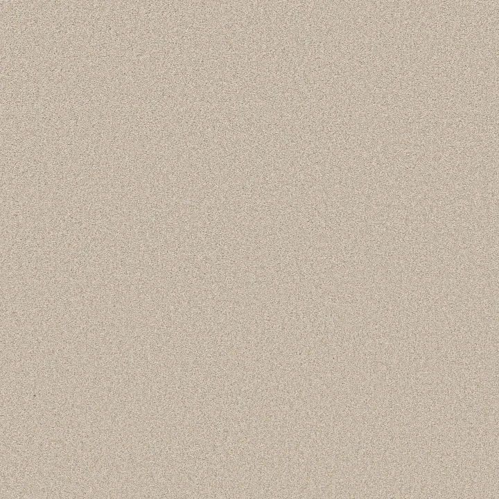 Shaw Floors Harmonious III — Champagne Toast · 5E451-00153 — flooring selection with LeviArs Design & Remodeling