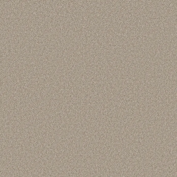 Shaw Floors Del Rio I — Fossil Path · 5E825-00108 — flooring selection with LeviArs Design & Remodeling