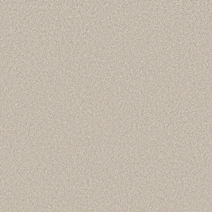 Shaw Floors Del Rio I — Gallery Opening · 5E825-00125 — flooring selection with LeviArs Design & Remodeling