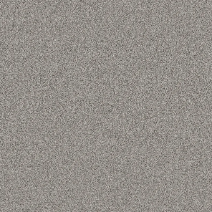 Shaw Floors Harmonious III — Grey Fox · 5E451-00504 — flooring selection with LeviArs Design & Remodeling