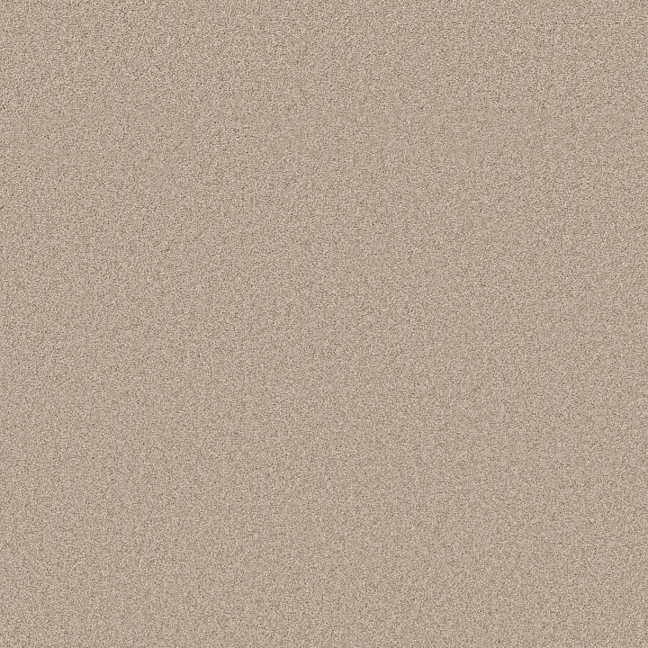 Shaw Floors Harmonious II — Heirloom · 5E437-00803 — flooring selection with LeviArs Design & Remodeling
