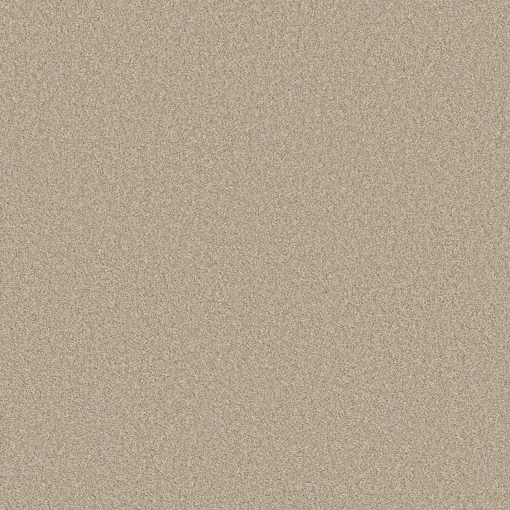 Shaw Floors Harmonious II — Sandstone · 5E437-00743 — flooring selection with LeviArs Design & Remodeling
