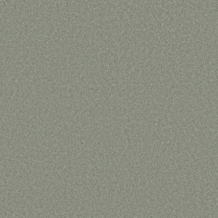 Shaw Floors Harmonious III — Water'S Edge · 5E451-00307 — flooring selection with LeviArs Design & Remodeling