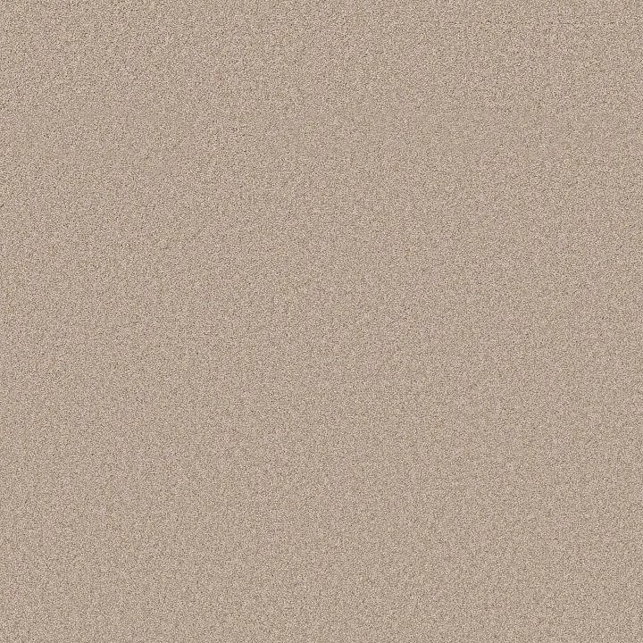 Shaw Floors Harmonious III — Heirloom · 5E451-00803 — flooring selection with LeviArs Design & Remodeling