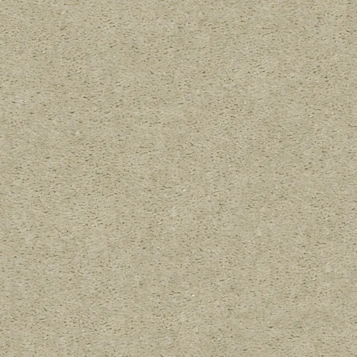 Shaw Floors Heroic — Ash Blonde · 5E287-00122 — flooring selection with LeviArs Design & Remodeling
