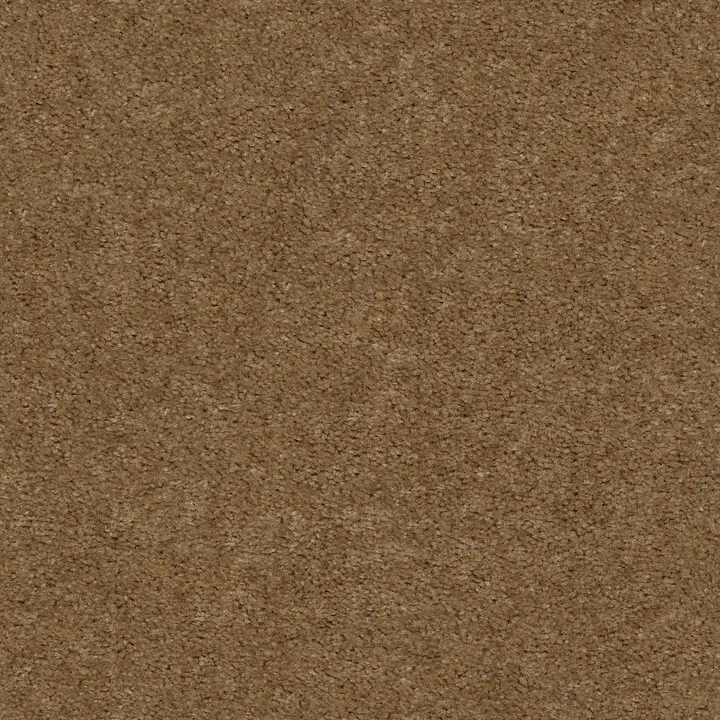 Shaw Floors Heroic — Landmark · 5E287-00720 — flooring selection with LeviArs Design & Remodeling