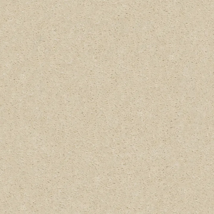 Shaw Floors Heroic — Silk Thread · 5E287-00143 — flooring selection with LeviArs Design & Remodeling