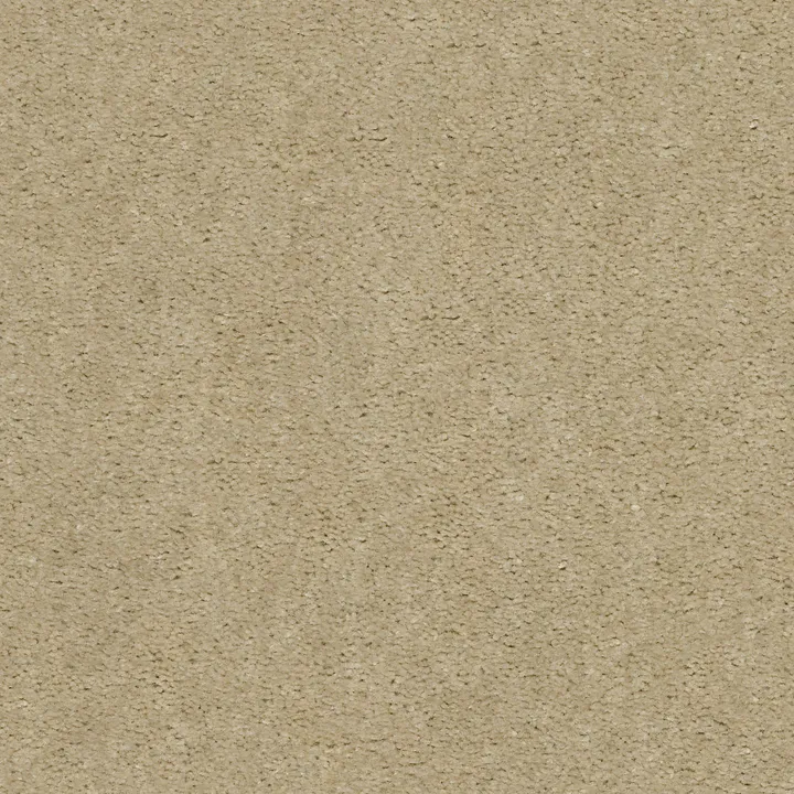 Shaw Floors Heroic — Spanish Sand · 5E287-00106 — flooring selection with LeviArs Design & Remodeling