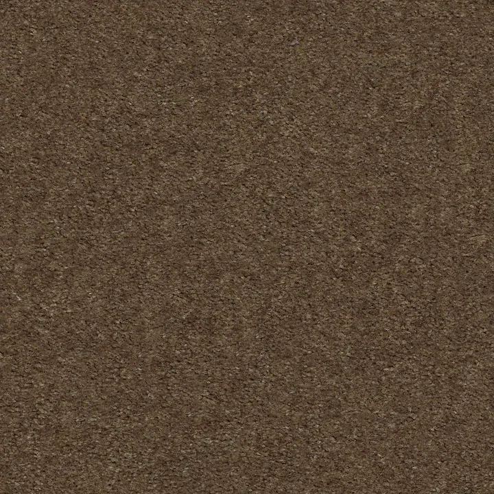 Shaw Floors Heroic — Toffee · 5E287-00753 — flooring selection with LeviArs Design & Remodeling