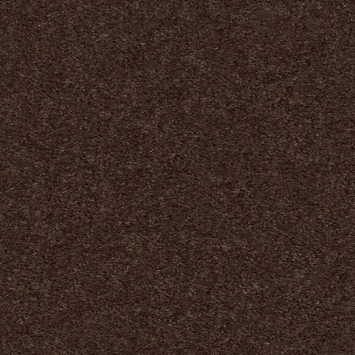 Shaw Floors Heroic — Truffle · 5E287-00792 — flooring selection with LeviArs Design & Remodeling