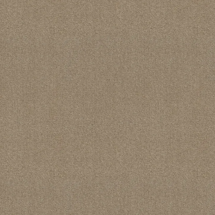 Shaw Floors Heroic — Windsor Tan · 5E287-00741 — flooring selection with LeviArs Design & Remodeling