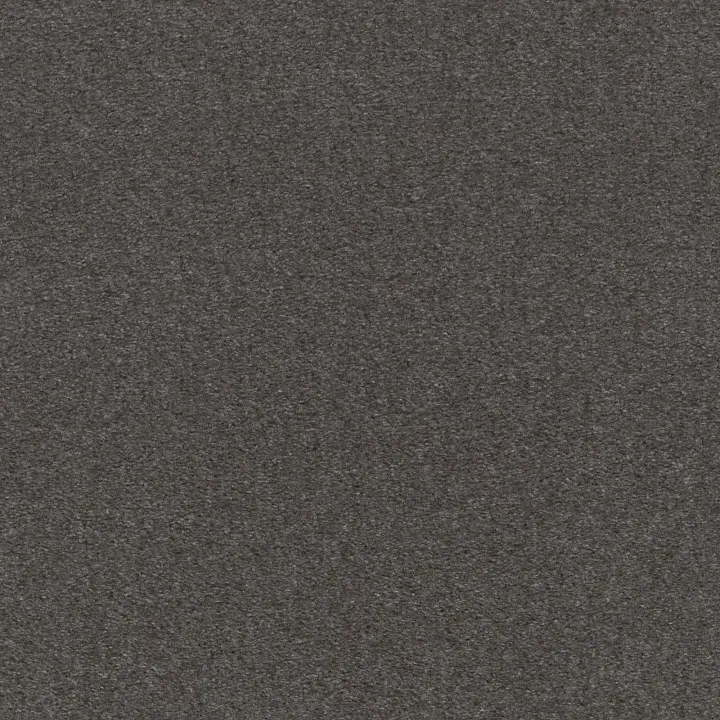 Shaw Floors Heroic — Wrought Iron · 5E287-00593 — flooring selection with LeviArs Design & Remodeling
