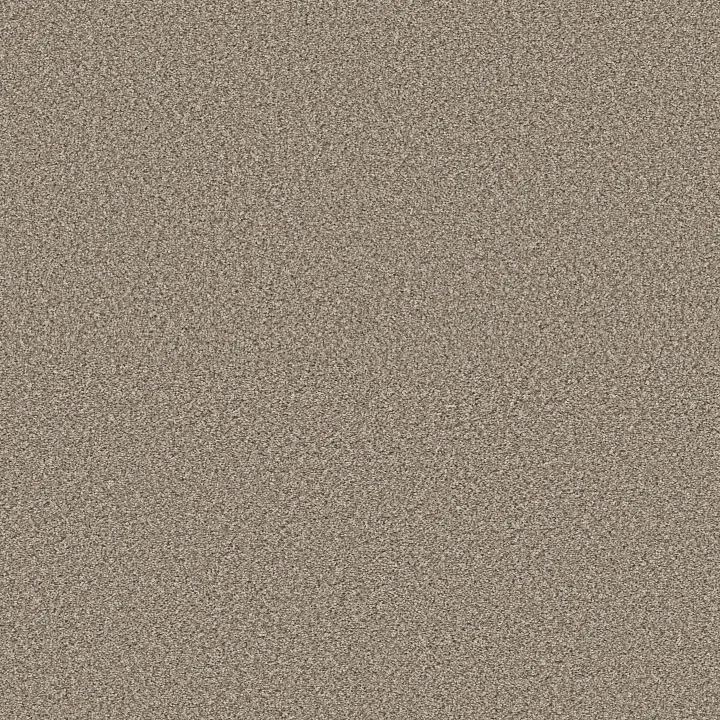 Shaw Floors High Impact B — Dockside · 5E779-00139 — flooring selection with LeviArs Design & Remodeling