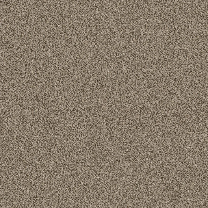 Shaw Floors High Impact B — Escape · 5E779-00140 — flooring selection with LeviArs Design & Remodeling