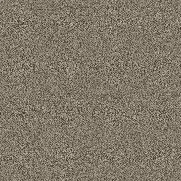 Shaw Floors High Impact B — Fairview · 5E779-00149 — flooring selection with LeviArs Design & Remodeling