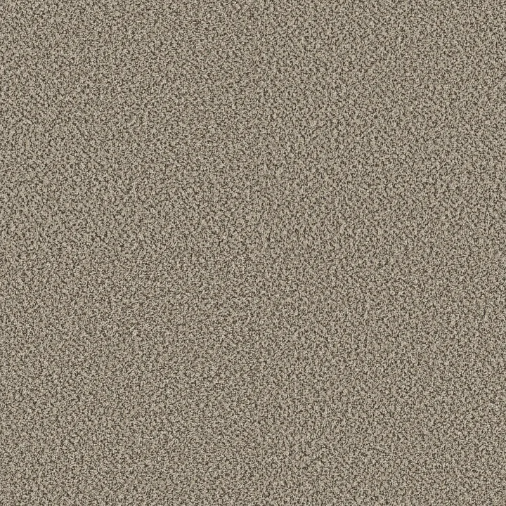Shaw Floors High Impact B — Point Beach · 5E779-00147 — flooring selection with LeviArs Design & Remodeling