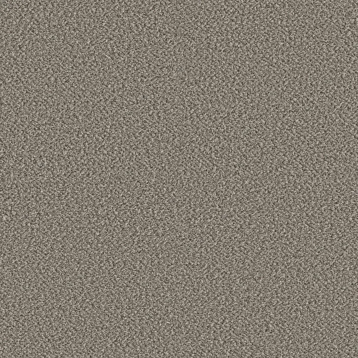 Shaw Floors High Impact B — River · 5E779-00544 — flooring selection with LeviArs Design & Remodeling