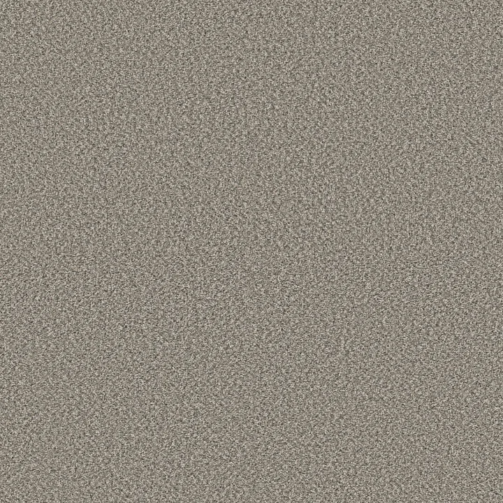 Shaw Floors High Impact B — Shallow Water · 5E779-00534 — flooring selection with LeviArs Design & Remodeling