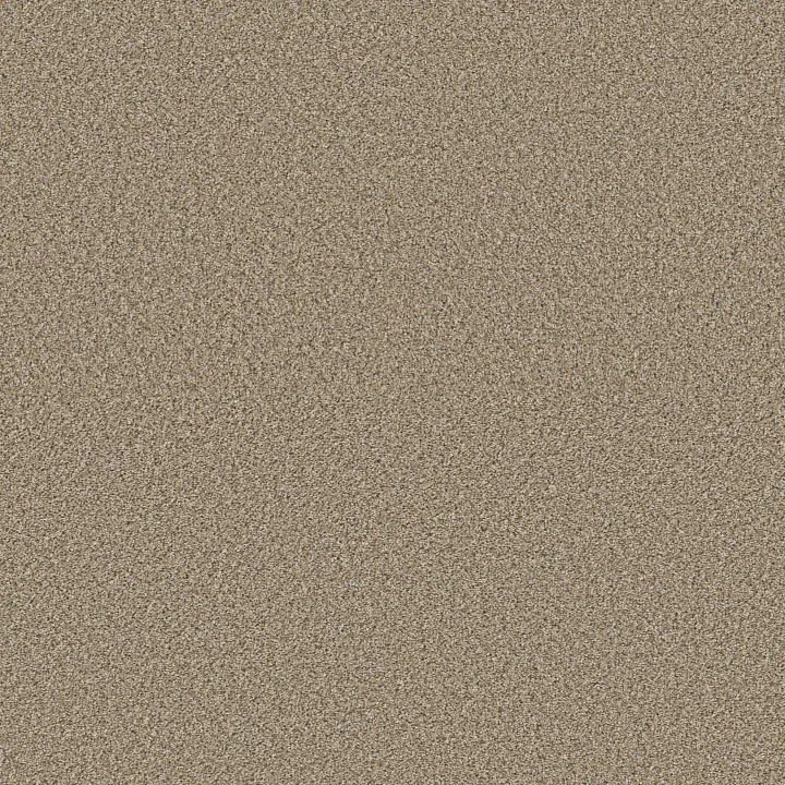 Shaw Floors High Impact B — Spirit · 5E779-00130 — flooring selection with LeviArs Design & Remodeling