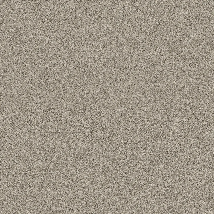 Shaw Floors High Impact B — Wind'S Breath · 5E779-00137 — flooring selection with LeviArs Design & Remodeling