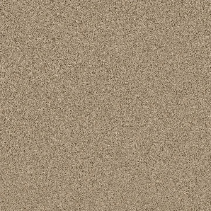 Shaw Floors High Impact S — Mystic Gold · 5E777-00110 — flooring selection with LeviArs Design & Remodeling
