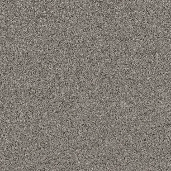 Shaw Floors High Impact S — Skyline · 5E777-00504 — flooring selection with LeviArs Design & Remodeling