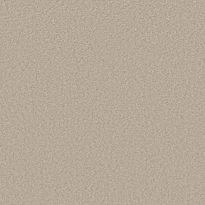 Shaw Floors High Impact T — Aura · 5E778-00127 — flooring selection with LeviArs Design & Remodeling