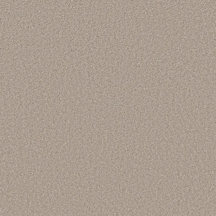Shaw Floors High Impact T — Ever After · 5E778-00129 — flooring selection with LeviArs Design & Remodeling