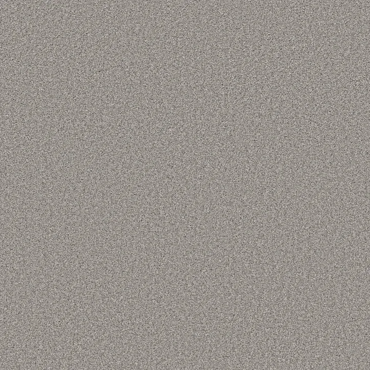 Shaw Floors High Impact T — Fresh Air · 5E778-00524 — flooring selection with LeviArs Design & Remodeling