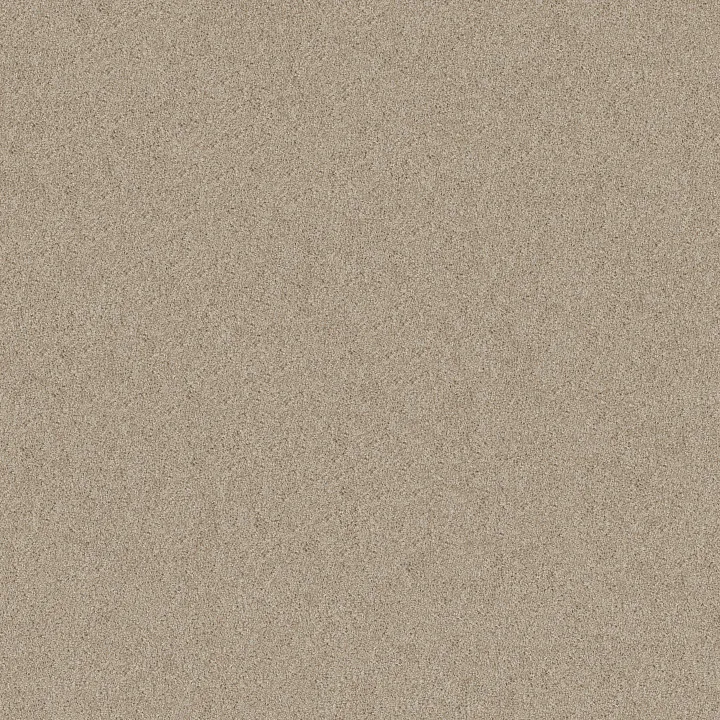Shaw Floors High Impact T — Sunlit · 5E778-00120 — flooring selection with LeviArs Design & Remodeling