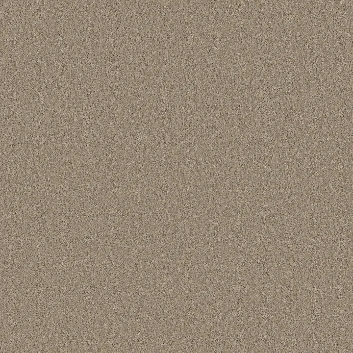 Shaw Floors High Ranking - Solid — Broadstreet · 5E796-00109 — flooring selection with LeviArs Design & Remodeling