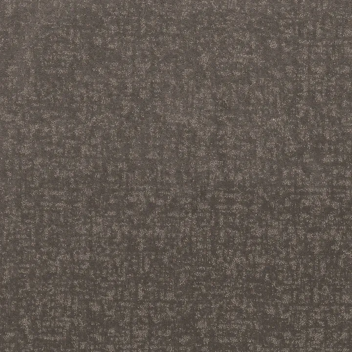 Shaw Floors Home Within — Ashes · 5E583-00501 — flooring selection with LeviArs Design & Remodeling