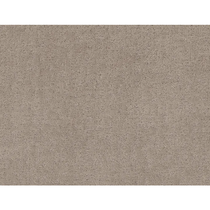 Shaw Floors Home Within — Chic Greige · 5E583-00111 — flooring selection with LeviArs Design & Remodeling