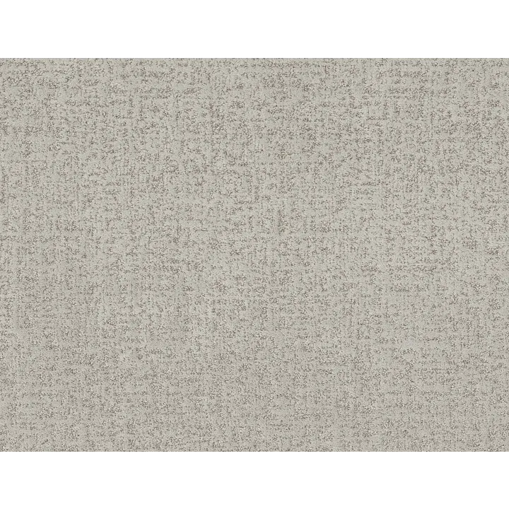 Shaw Floors Home Within — Frozen · 5E583-00107 — flooring selection with LeviArs Design & Remodeling