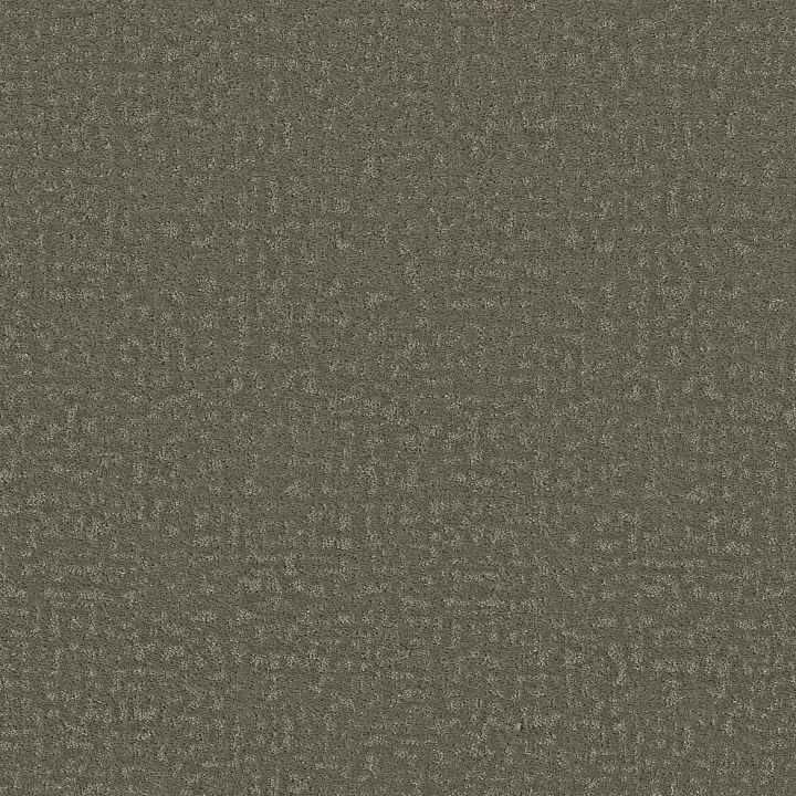 Shaw Floors Home Within — Rerooted Nature · 5E583-00300 — flooring selection with LeviArs Design & Remodeling