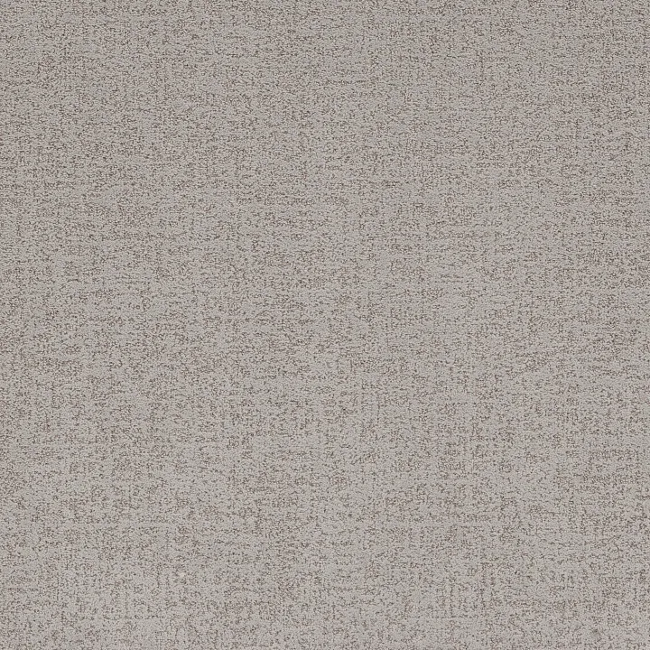 Shaw Floors Home Within — Rock Crystal · 5E583-00508 — flooring selection with LeviArs Design & Remodeling
