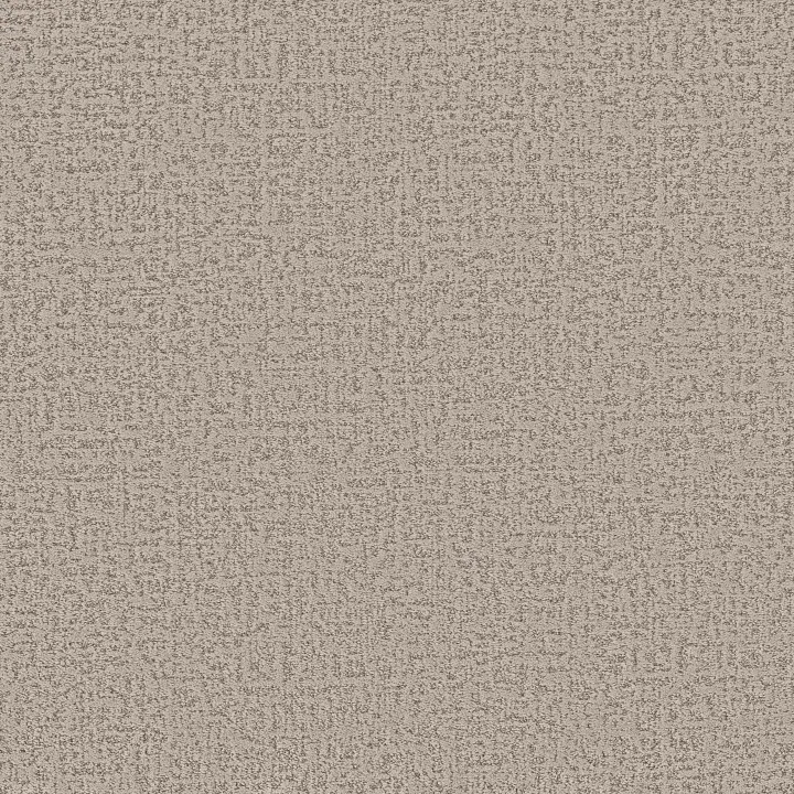 Shaw Floors Home Within — Soft Sense · 5E583-00112 — flooring selection with LeviArs Design & Remodeling